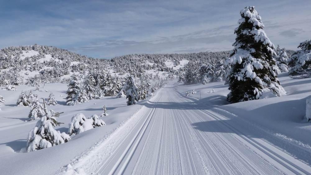 شقة Greolieres Les Neiges المظهر الخارجي الصورة